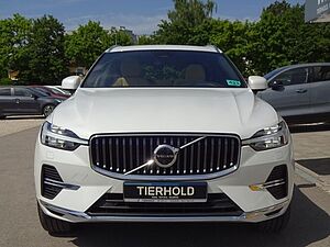 Volvo  T6 Inscription Plug-In ACC 360° PANO Google