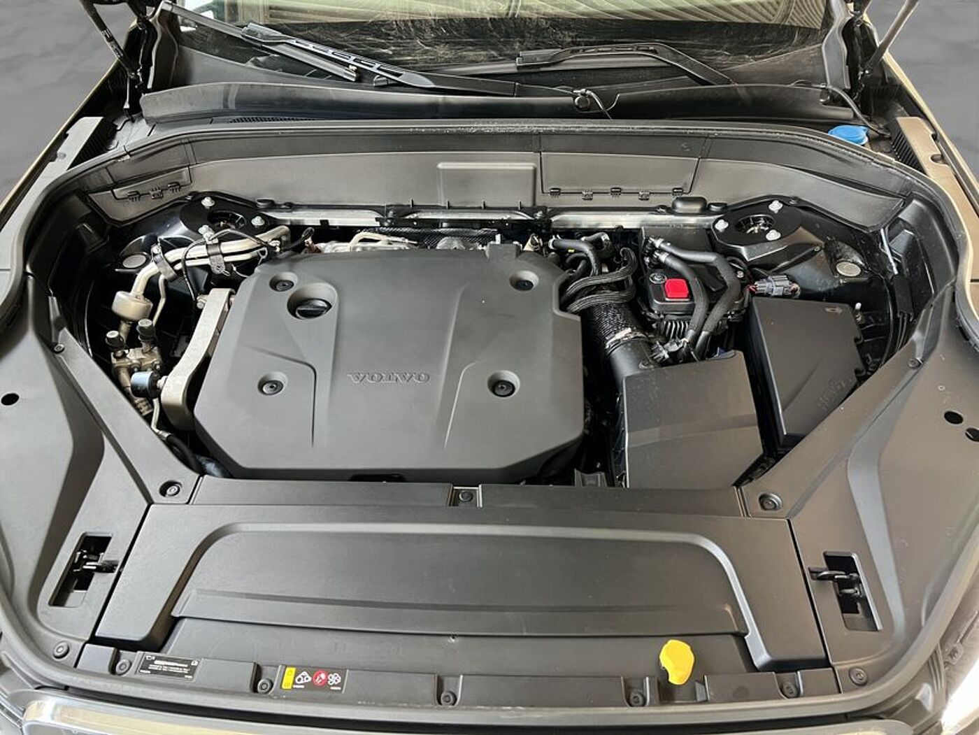 Volvo  Plus Bright