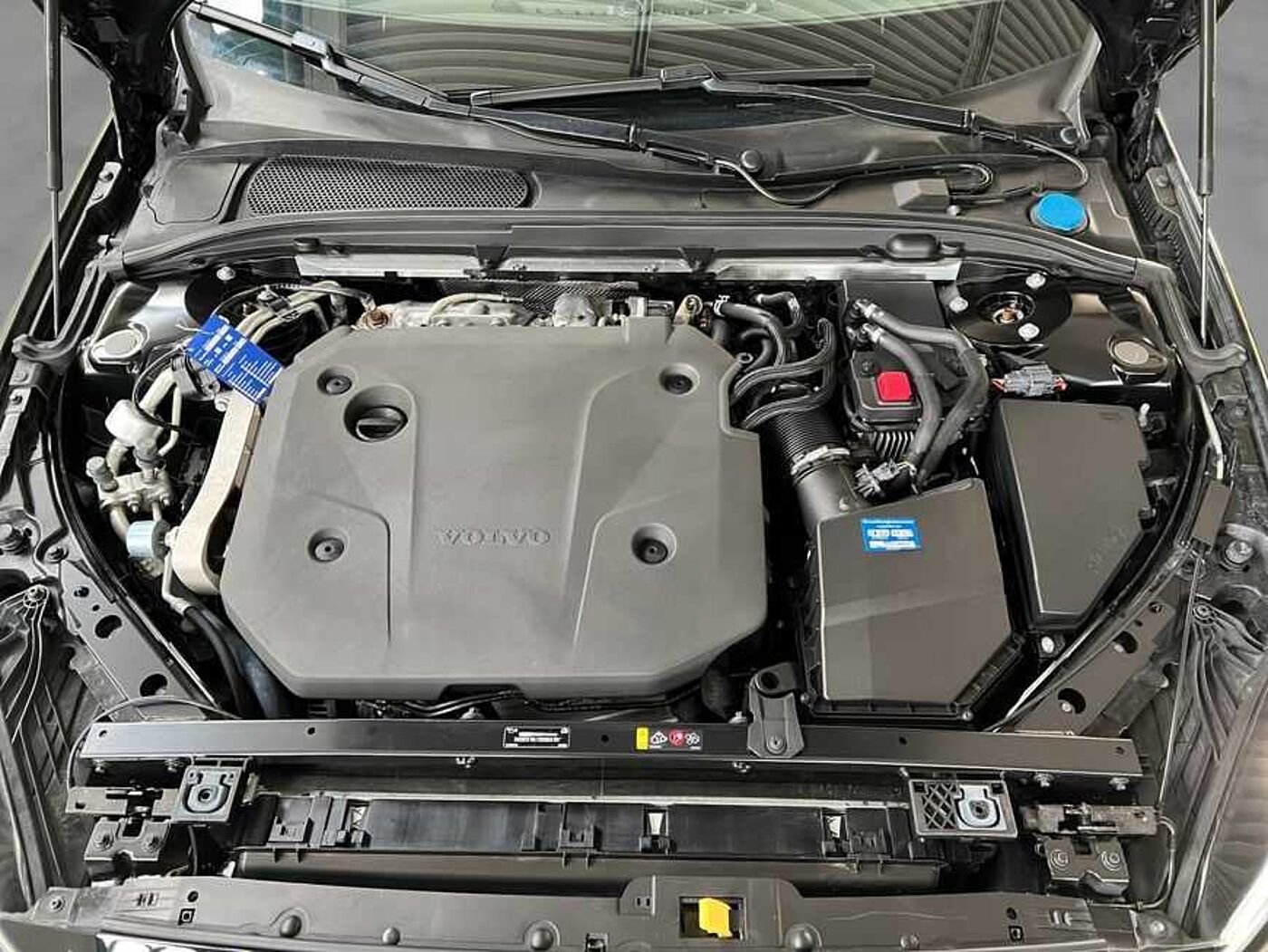 Volvo  Plus Bright