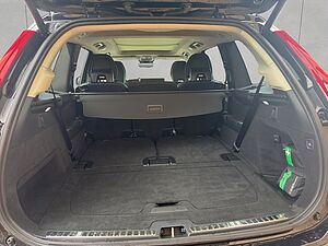 Volvo  Plus Bright