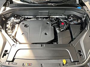 Volvo  Plus Bright