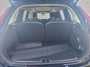 Volvo  Plus Bright