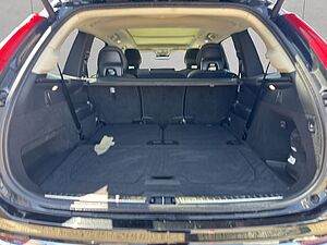 Volvo  Plus Bright