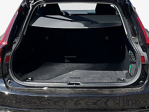 Volvo  Plus Bright