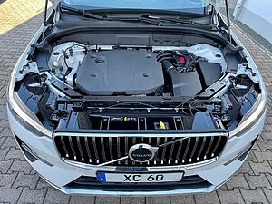 Volvo  20'