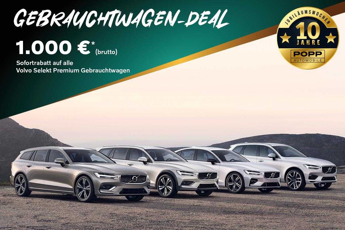 Volvo  19'