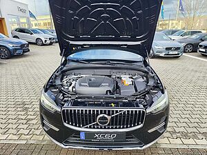 Volvo  21'