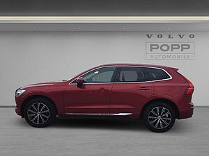 Volvo  19'