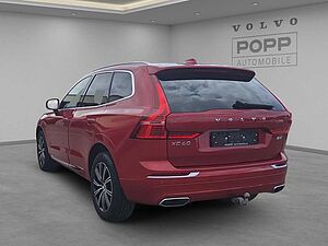 Volvo  19'