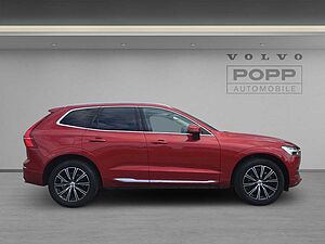 Volvo  19'