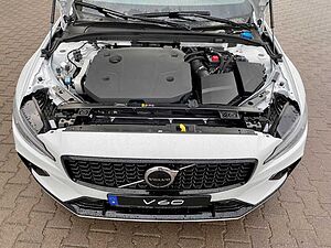 Volvo  19'