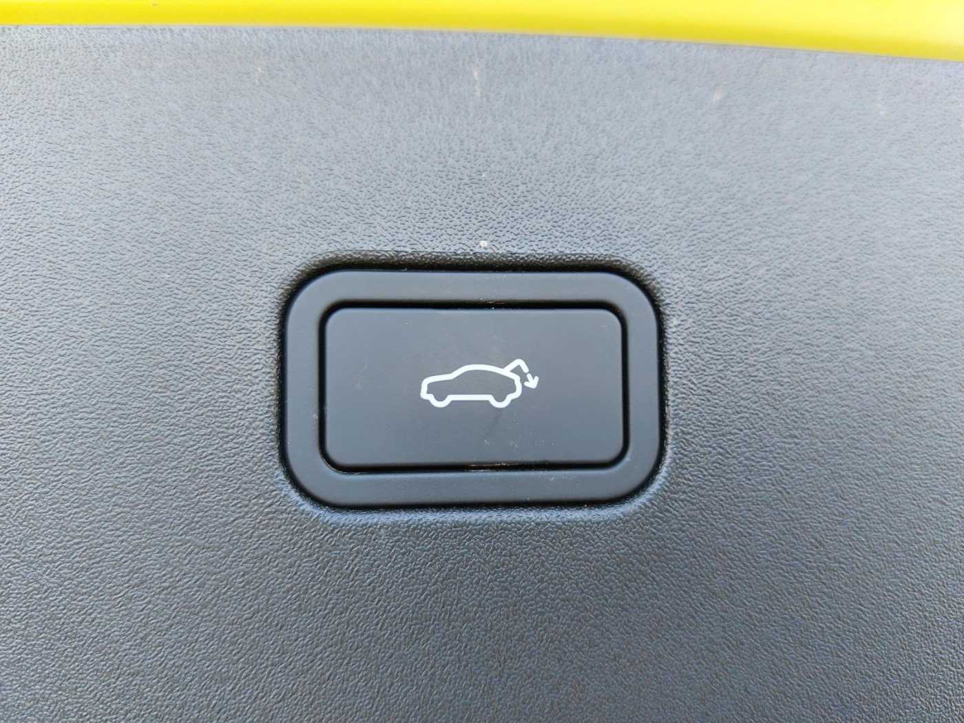 Volvo  19'