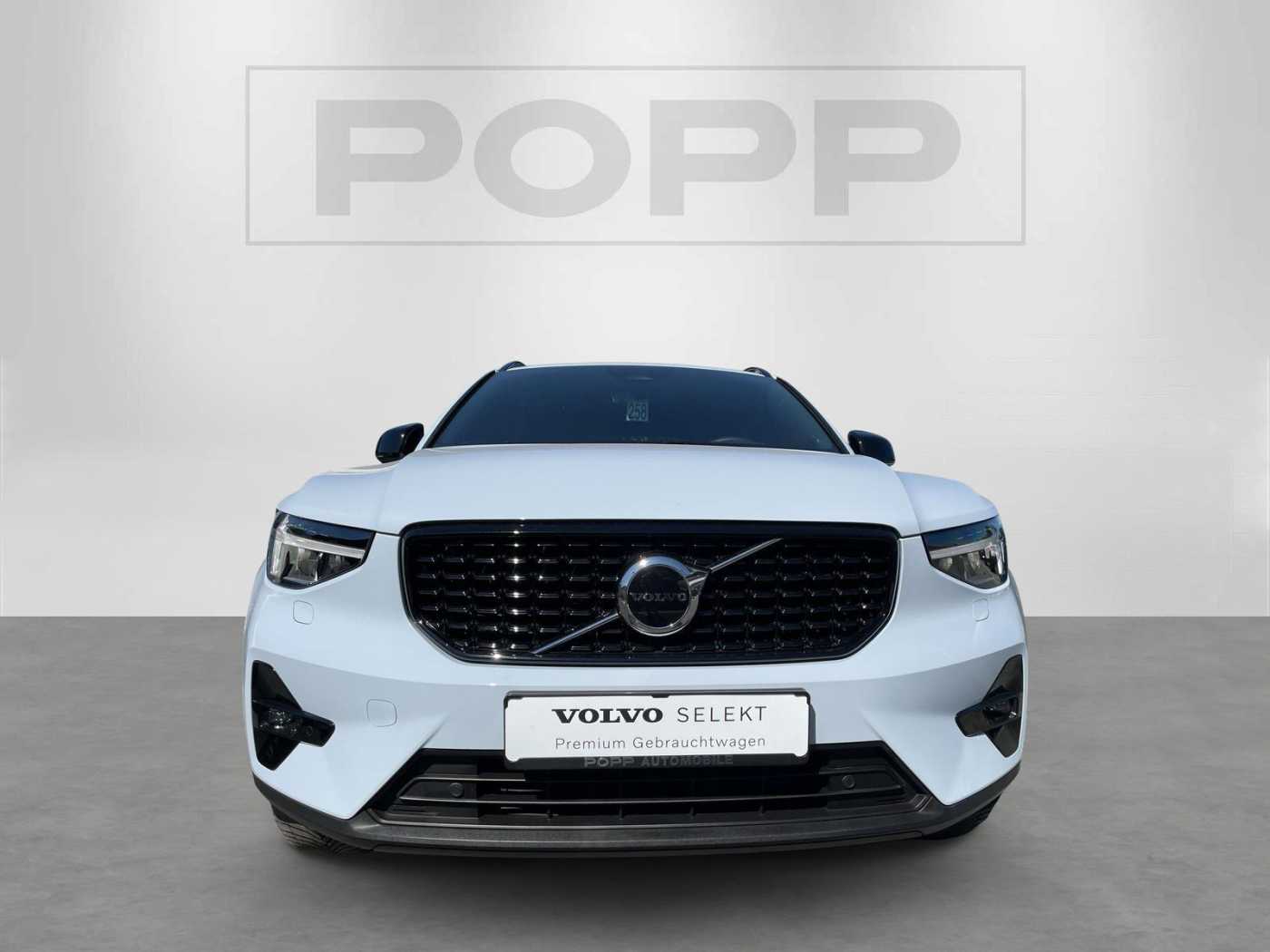 Volvo  19'