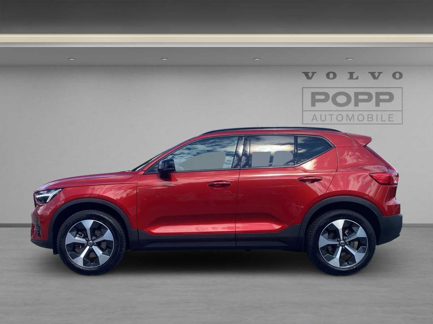 Volvo  19'