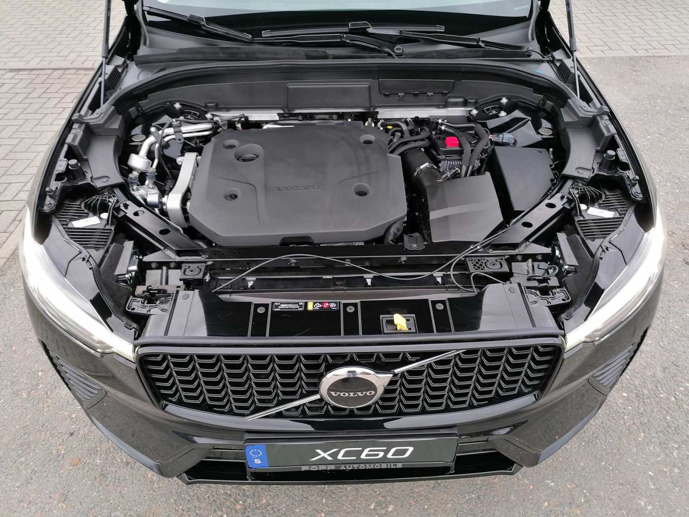 Volvo  19'