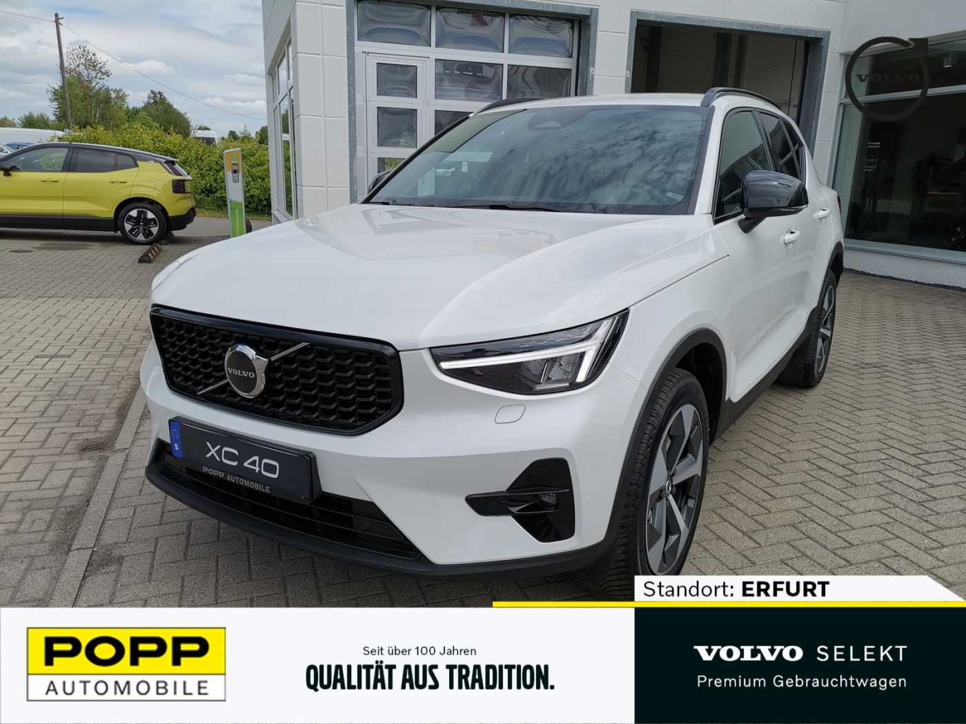 Volvo  19'