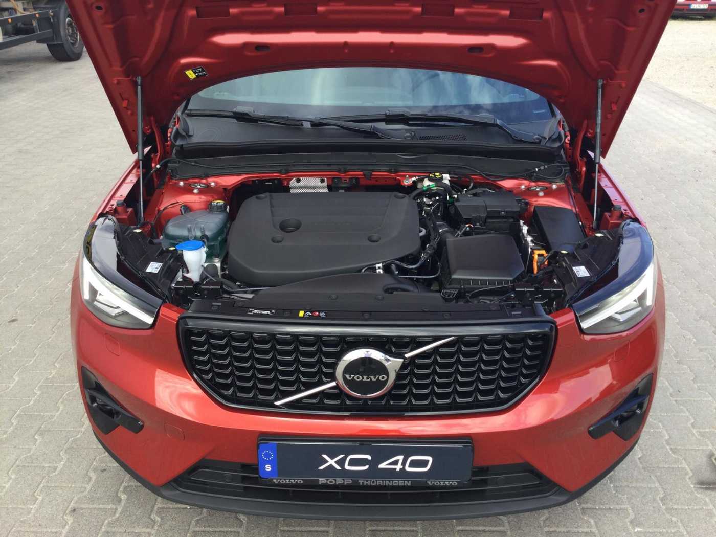 Volvo  19'