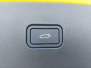 Volvo  19'