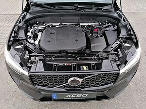 Volvo  19'