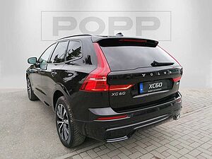 Volvo  19'