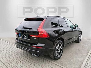 Volvo  19'