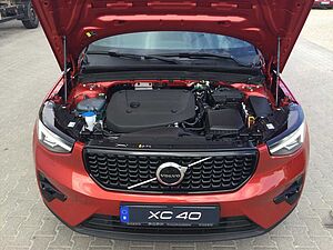 Volvo  19'