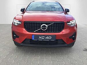 Volvo  19'